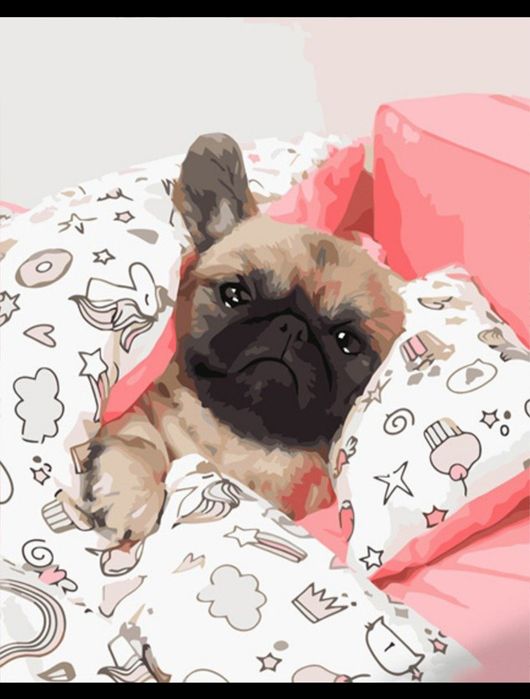 Картины по номерам