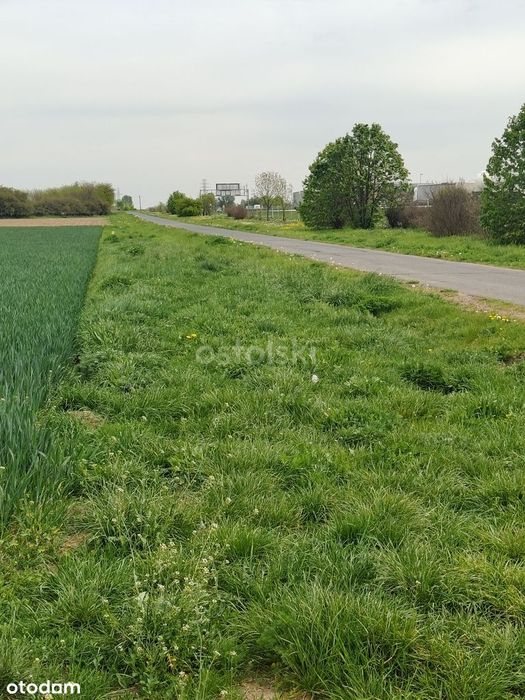 W strefie przemysłowej przy autostradzie