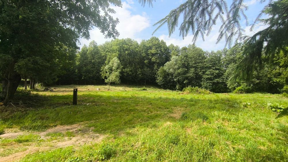 Wycinka drzew, czyszczenie działek, usługi ogrodnicze