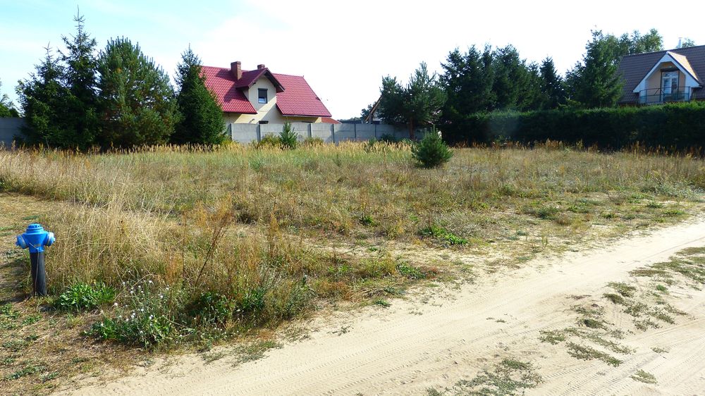Zdjęcie 4