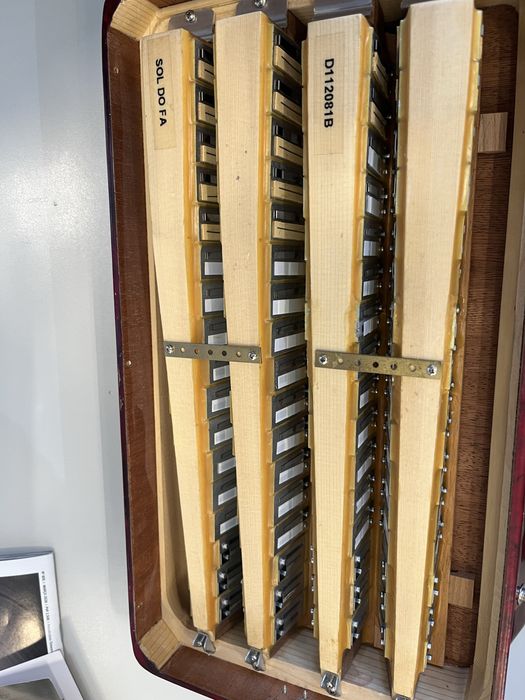 Concertina Dino Baffetti