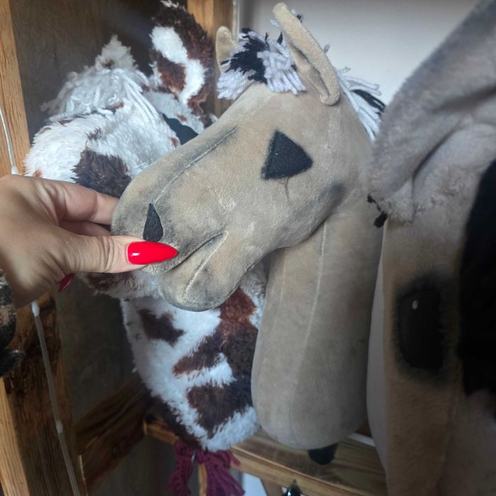 Hobby horse plus stajnia