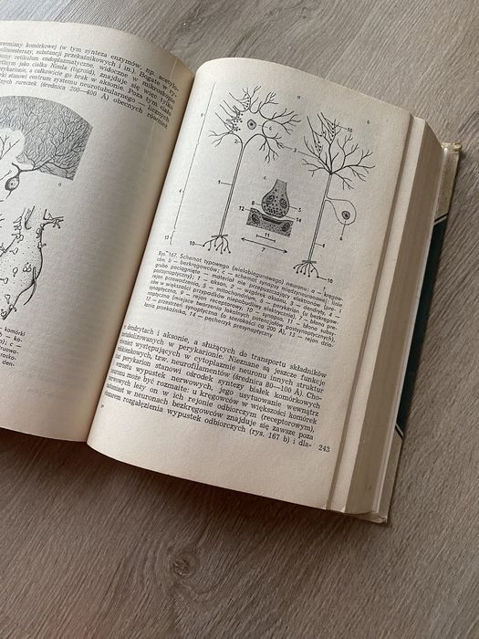 Zoologia ogólna .