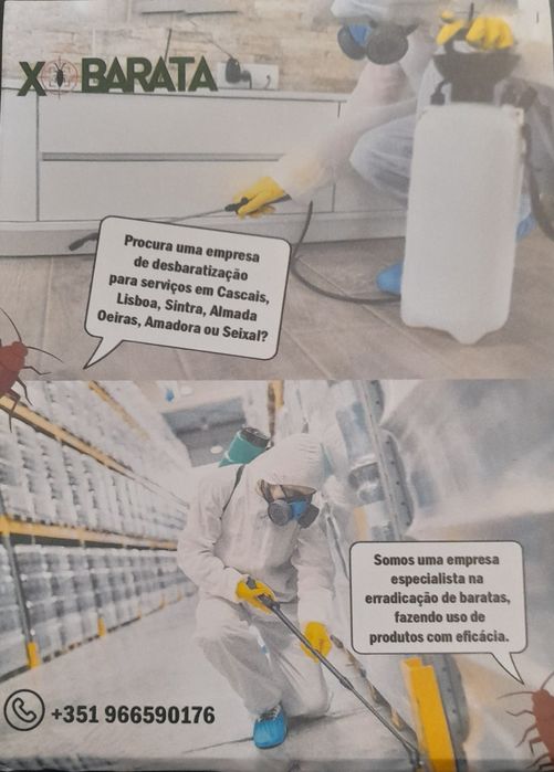 Desinfestação de Baratas