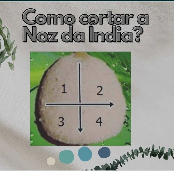 16 Nozes da India 20€