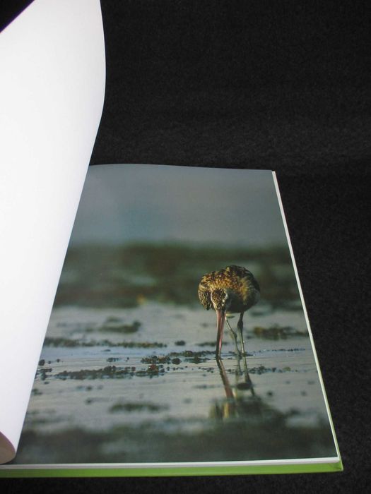 Livro Áreas de Importância natural da região do Porto memória