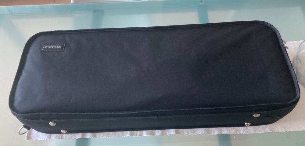 Viola d’arco de 5 cordas