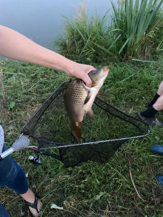 Domek nad Jeziorem Wigry_WOLNE TERMINY