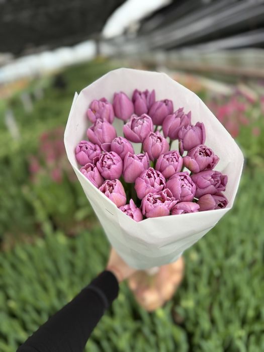 Квіти Оптом !приймаємо замовлення до 8 березня!