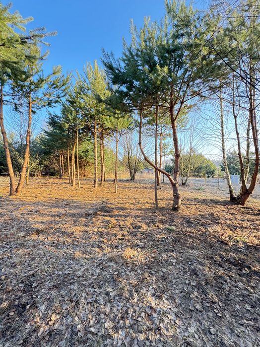 DZIAŁKA REKREACYJNA 591 M² | 600 m od plaży | Chańcza