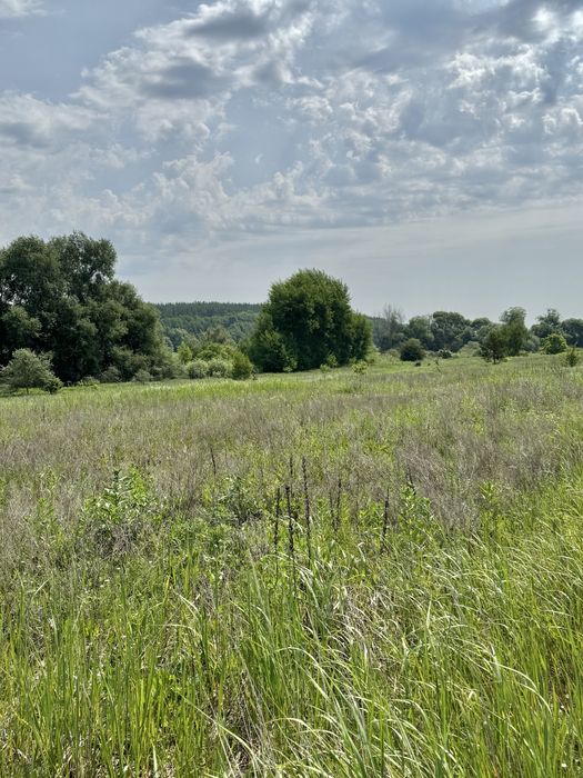 Продам 82сотки землі !!!  с.Мироцьке