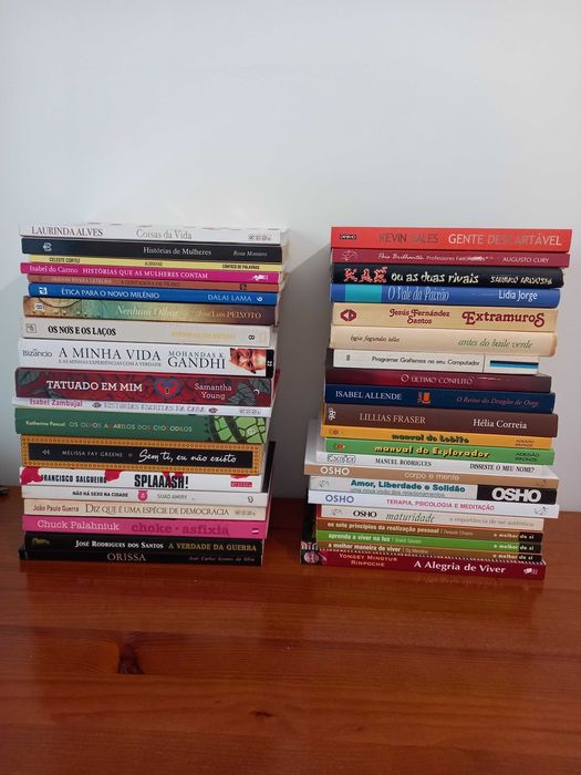 Livros - várias temáticas - baratos