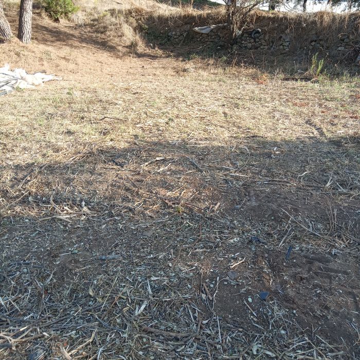Limpeza de terrenos