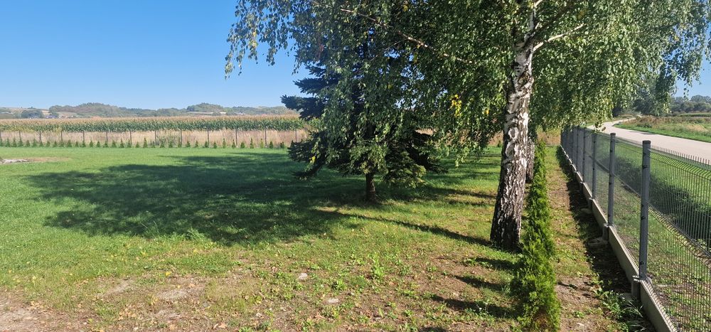 Sprzedam działke Owczary