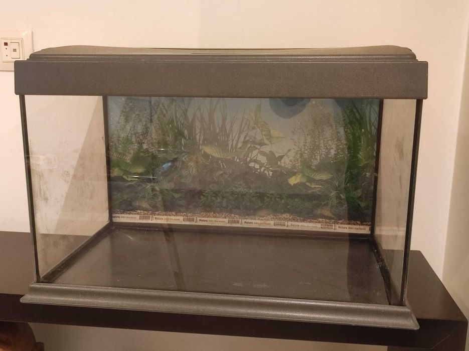 Aquário para peixes com 58 cm