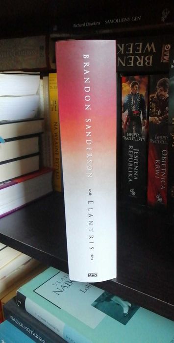 Elantris - Brandon Sanderson
