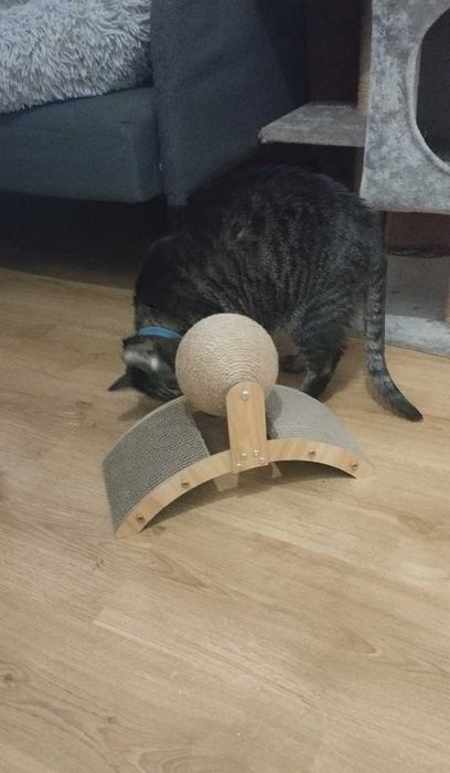 Narożny drapak dla kota z piłką kartonowy