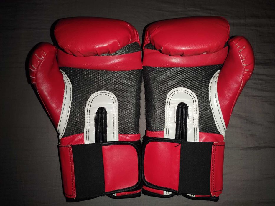 Luvas Vermelhas Boxe 12 Oz Everlast