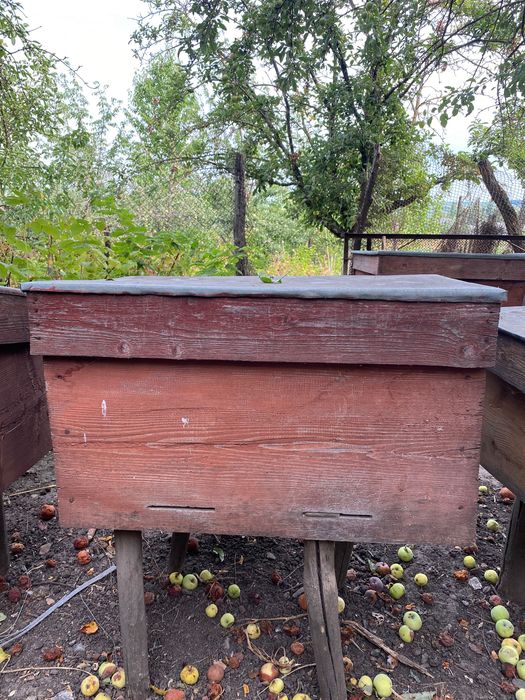 Продам вулики для бджіл Кіровоградська обл.