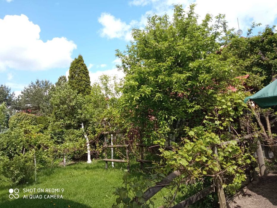 Sprzedam dom wolnostojący Iława