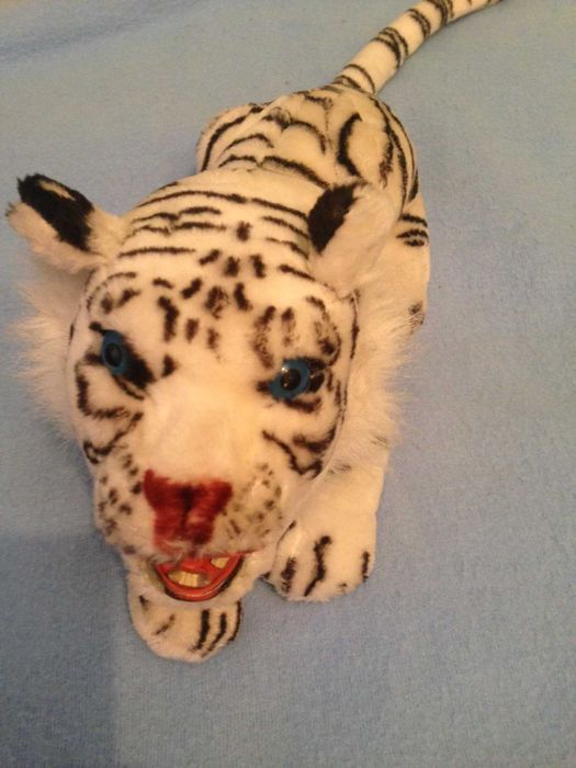 Тигр Альбинос наст. оскал USA фирм