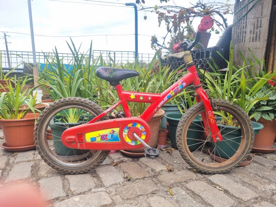 Bicicleta Criança (4-6 anos)
