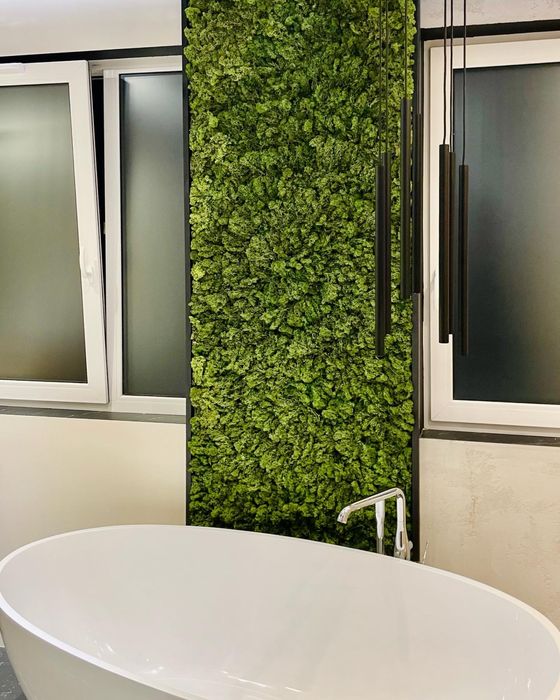 Ścianka z mchu obraz z mchu