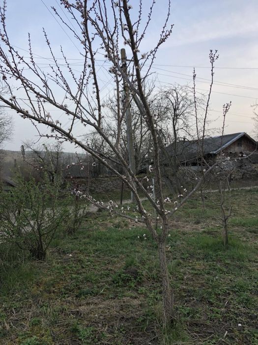 Продам будинок с.Поточище