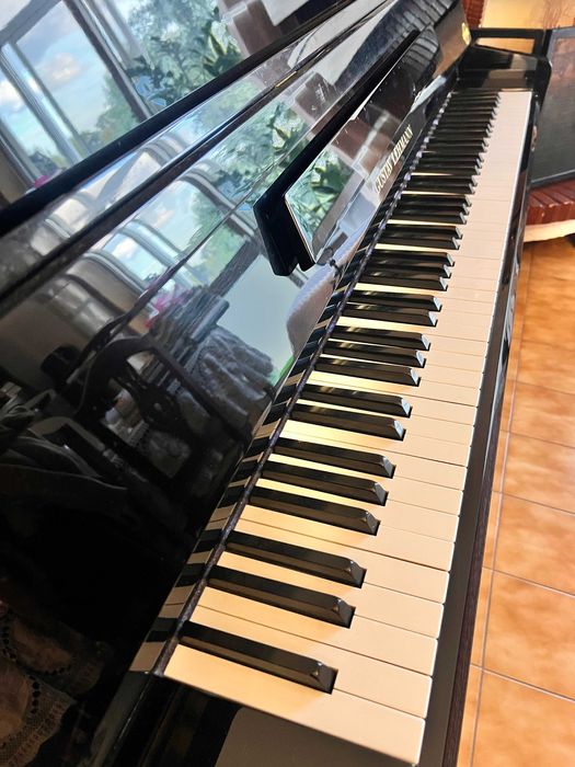 Piano Acústico Gustav Lehmann – OFERTA de Transporte