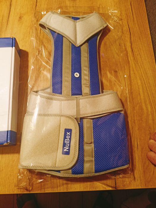 Orteza lędźwiowo piersiowa xl