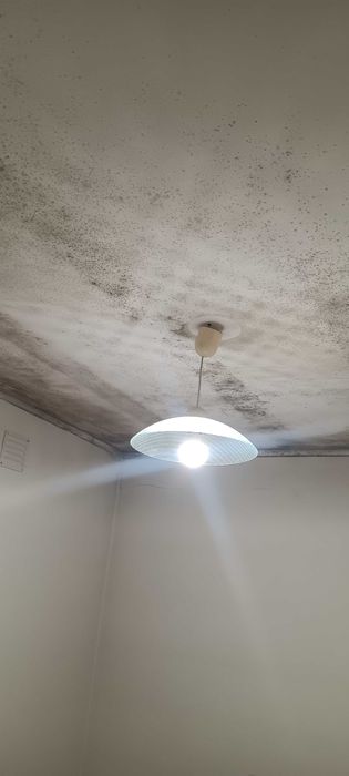 Faço tudo reparações pintura