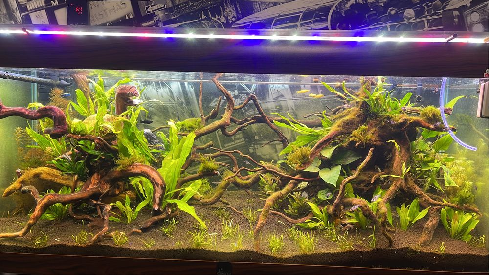 Komplente Akwarium 450l. Bogata oferta/ mozliwa zamiana zaproponuj