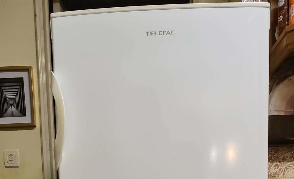 Arca congeladora vertical Telefac 160l