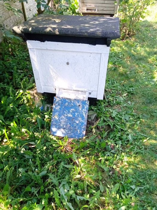 Sprzedam ul dla pszczół.