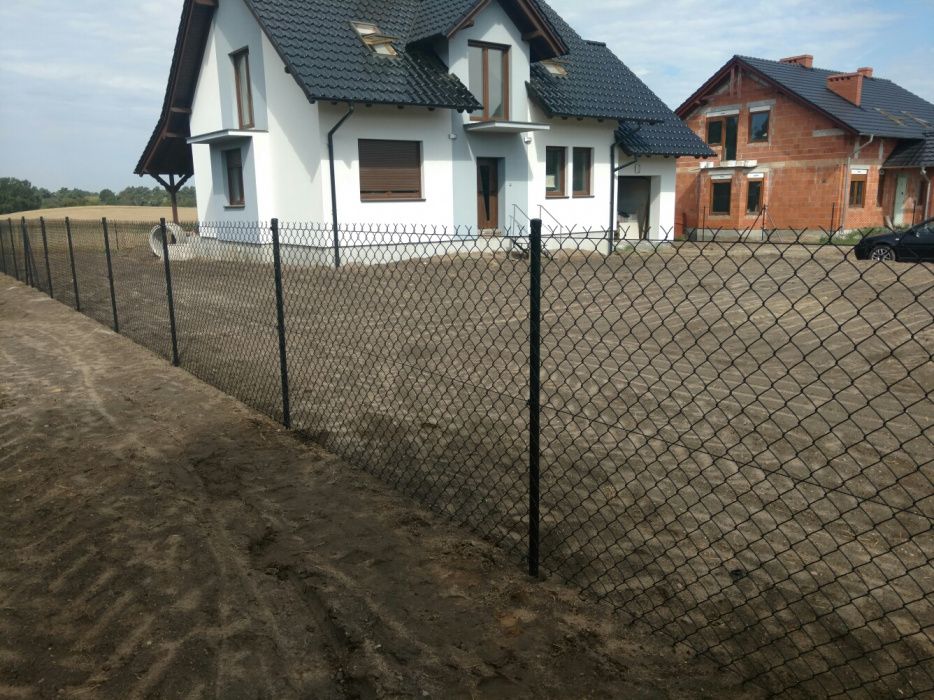 Siatka ogrodzeniowa Tanio