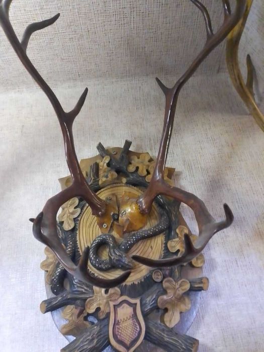 Рога,коллекция,5экз.