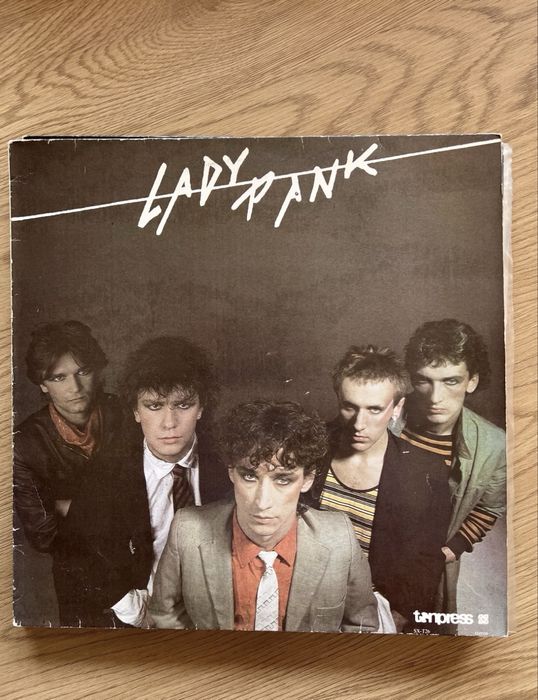 Gramofon Sanyo/Amplituner Technics/Głośniki Infinity