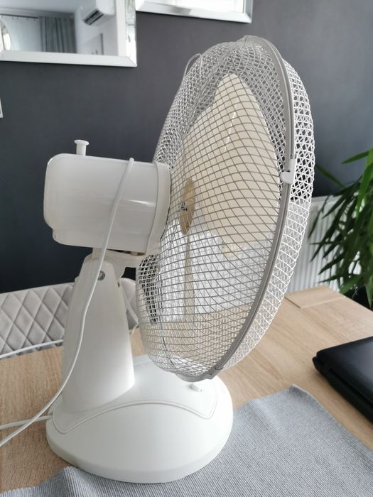 Wiatrak qilive polecam