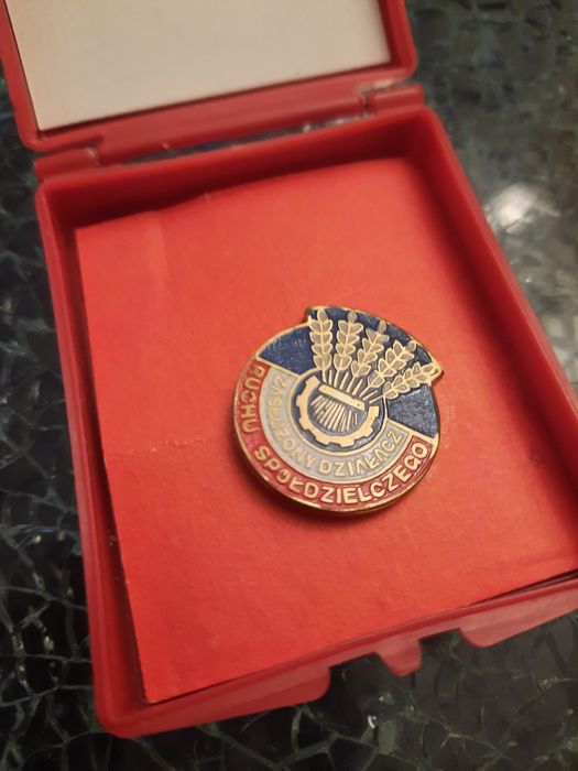 Przypinka zasłużony działacz Ruchu społecznego