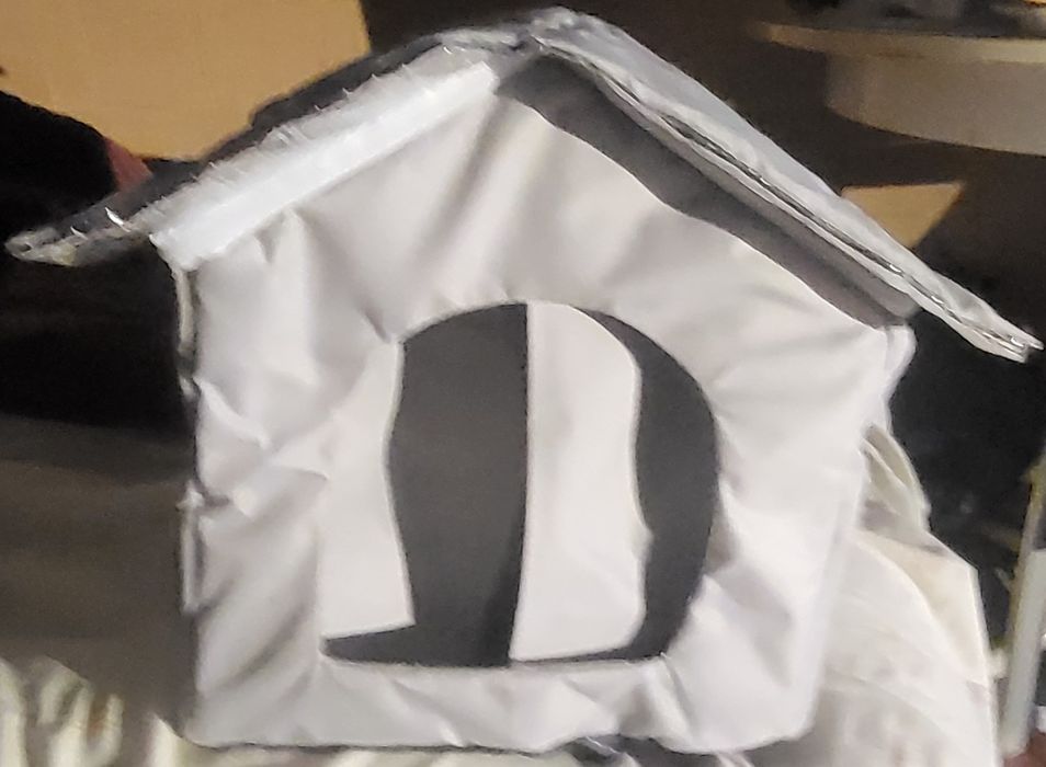 Gatinha para adoção
