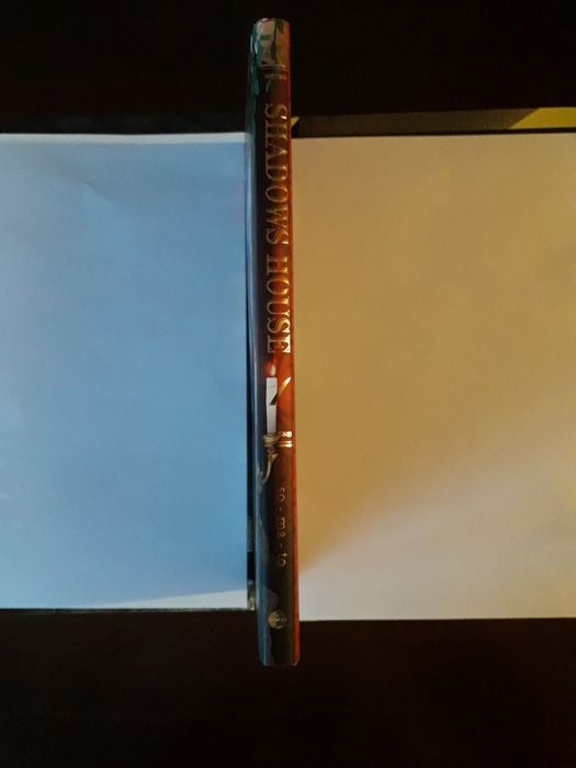 "Shadow house" 1, Somato