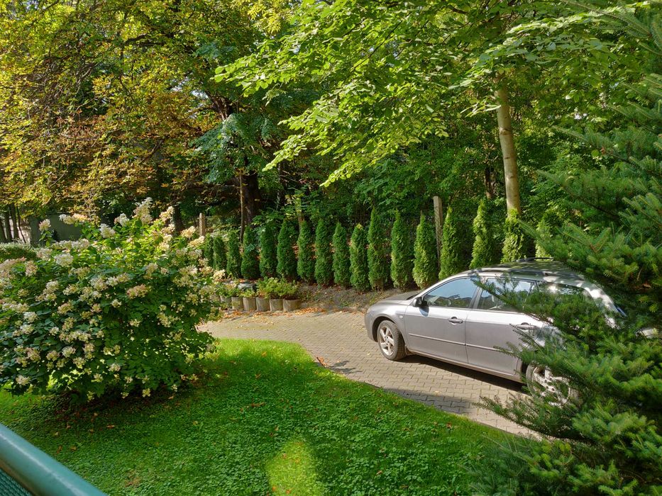 Mieszkanie – Bielsko-Biała - Widok 5