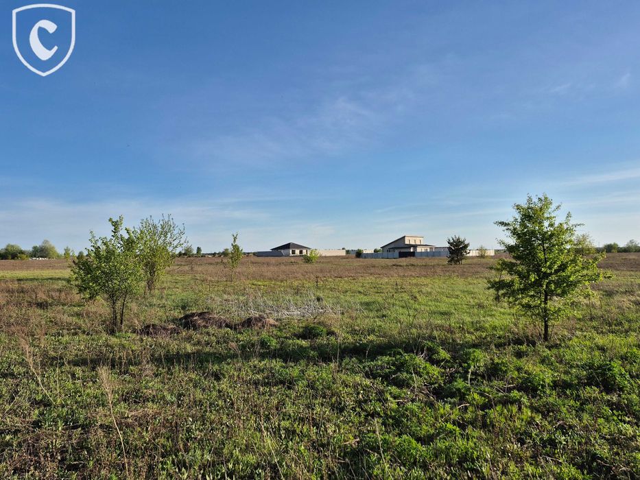 Земельна ділянка 5 соток,  с. Нові Петрівці, вул. Лісова