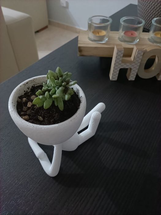 Vaso para suculentas