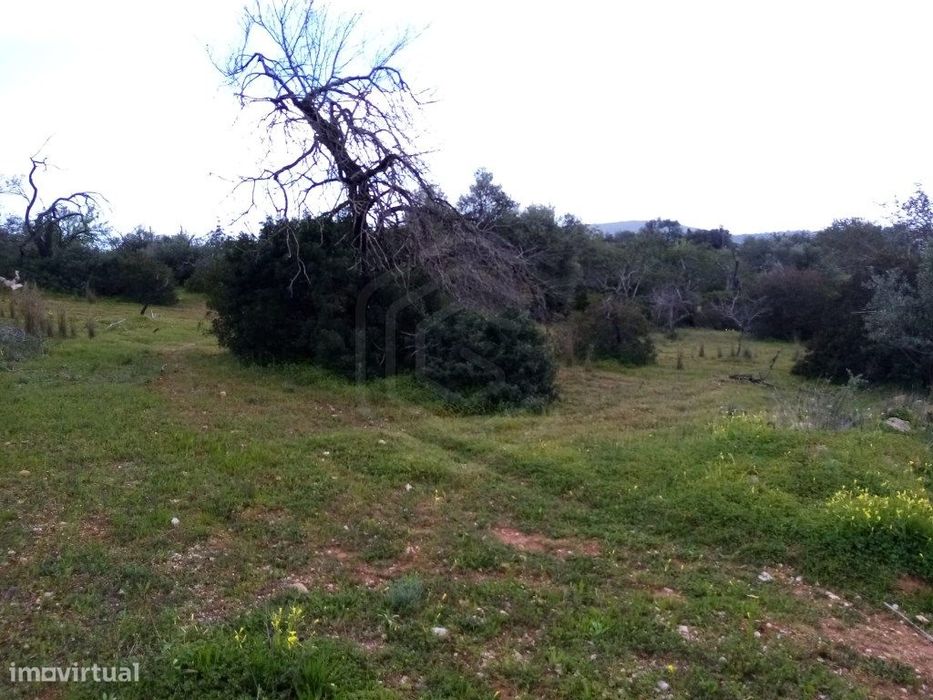 Terreno Rustico com 1394 m2, Loulé, Algarve