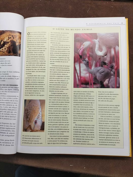 Livro " A Vida Secreta Dos Animais" (CXL1)