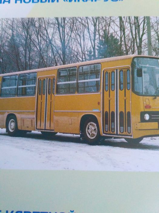 Ikarus 260,Ікарус 260 Наші Автобуси