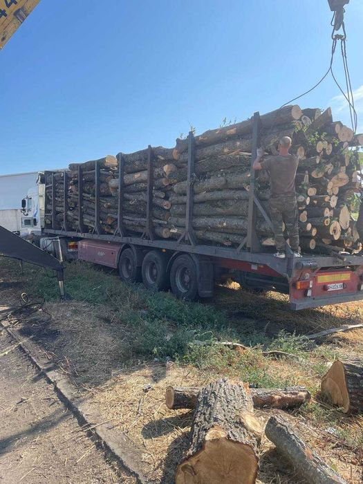Дрова с доставкой!Смесь твёрдых пород! Оплата по факту 14 скм