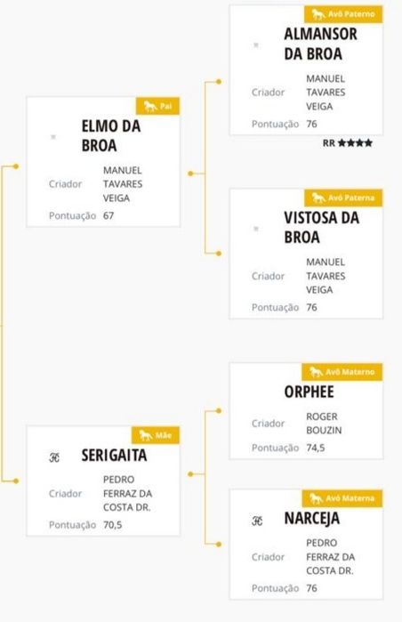 Poldro 4 anos letra R