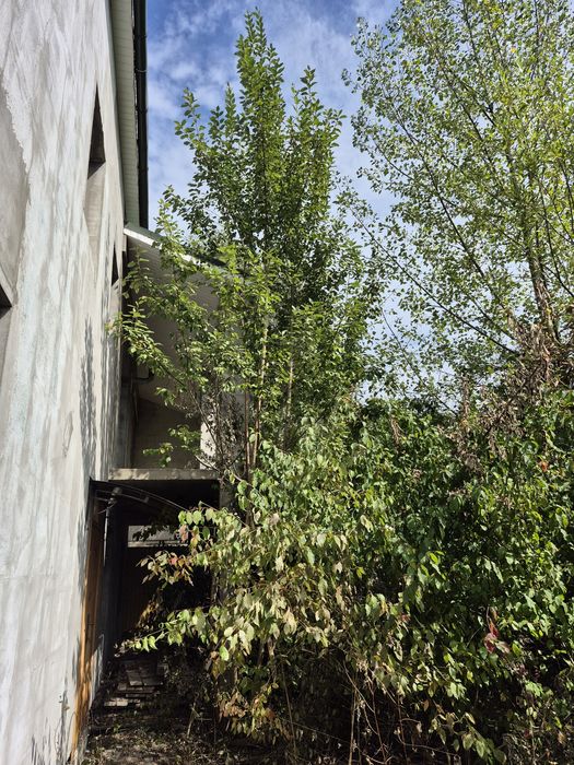 Дом по адресу Петефі Шандора пл. (площадь 406 м²) - Atlanta.ua - фото 13